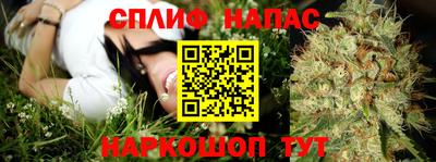 сатива Апрелевка