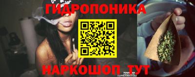 спиды Аргун