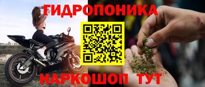 спиды Аргун