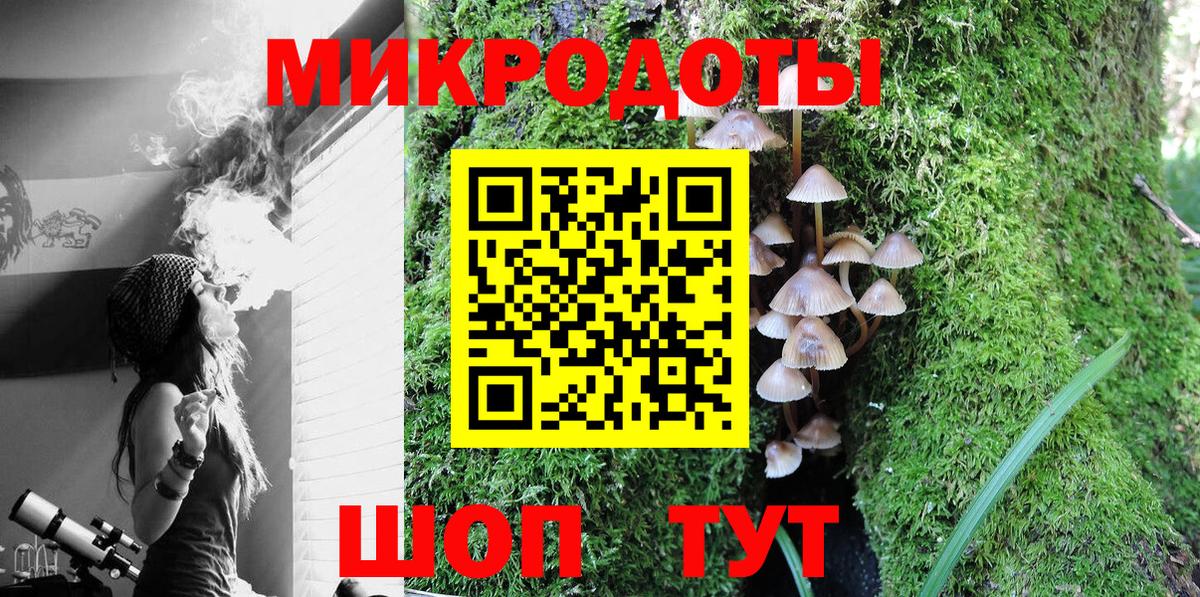 Волжский  Псилоцибиновые грибы прущие грибы  Вход с VPN 